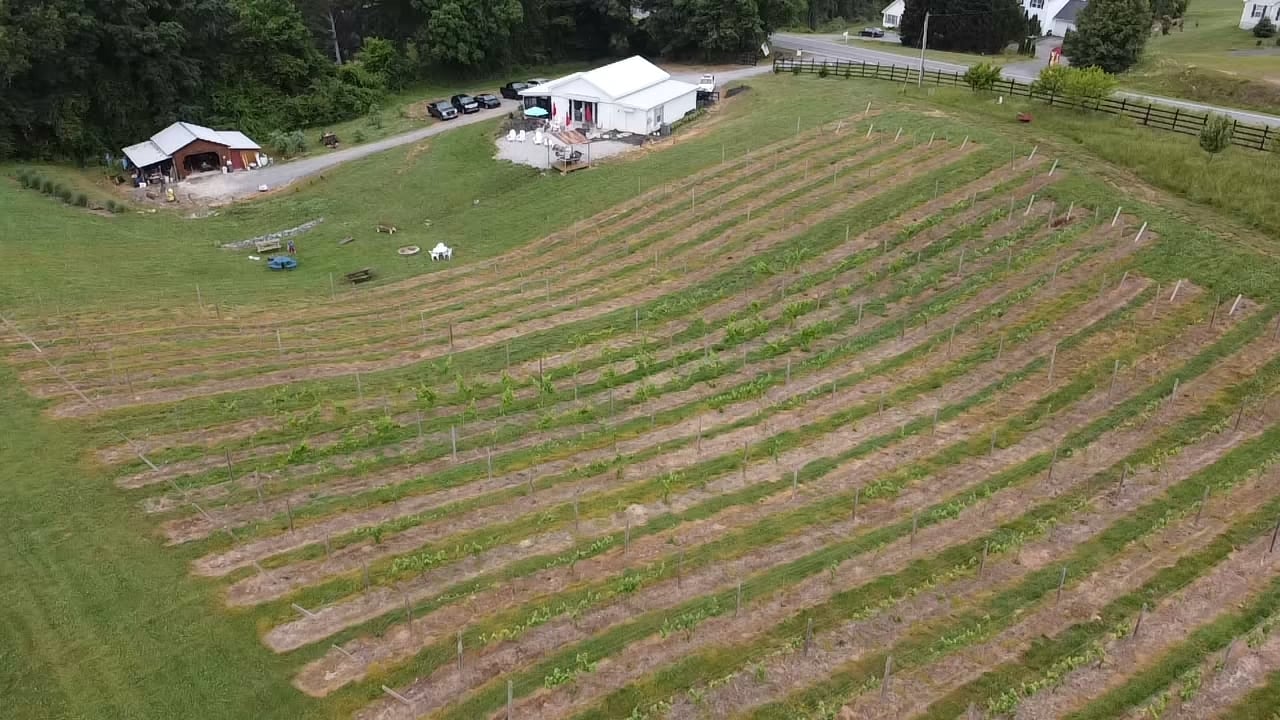 Grapes & Ladders Vineyards Searcy Bend Tours